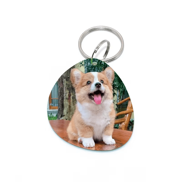 Exemplo de cartão NFC personalizado para identificação pet, com área de impressão para os dados do animal.