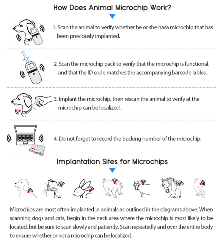 Infográfico sobre o funcionamento do microchip RFID e os locais de implantação habitualmente utilizados em diferentes animais.