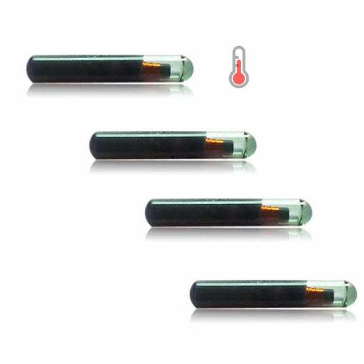 Conjunto de microchips RFID de biovidro para animais sobre fundo branco mostrando as extremidades das cápsulas de vidro e a bobina interna para identificação por implante.