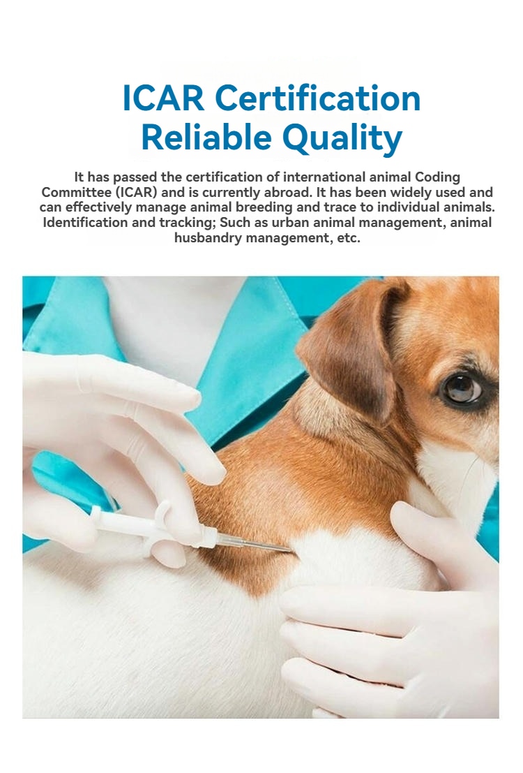 Um veterinário aplica um microchip RFID implantável em um cão e o título destaca a certificação ICAR e a qualidade confiável.