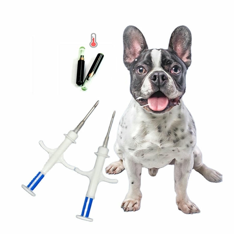 Cão com duas seringas injetoras e microchips RFID de biovidro ilustrando um kit de implantação pré-carregado para identificação de animais de estimação.