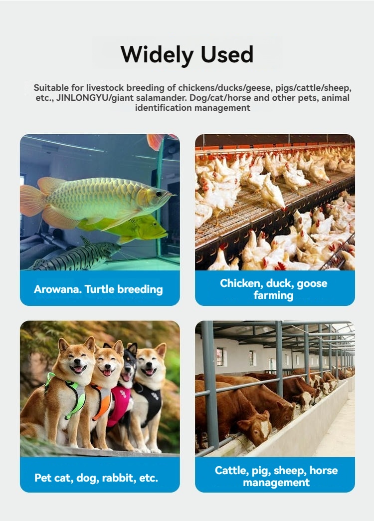 Aplicações de microchips RFID implantáveis em piscicultura, avicultura, identificação de cães e gestão de bovinos.