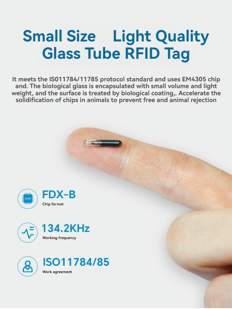 Imagem aproximada destacando o tamanho compacto do microchip RFID em tubo de vidro e seu revestimento de biovidro para implantação estável.