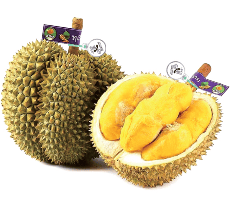 Exemplo de rastreabilidade de frutas com uma etiqueta RFID Z20028-2 aplicada a um durião para identificação e inspeção desde a origem.