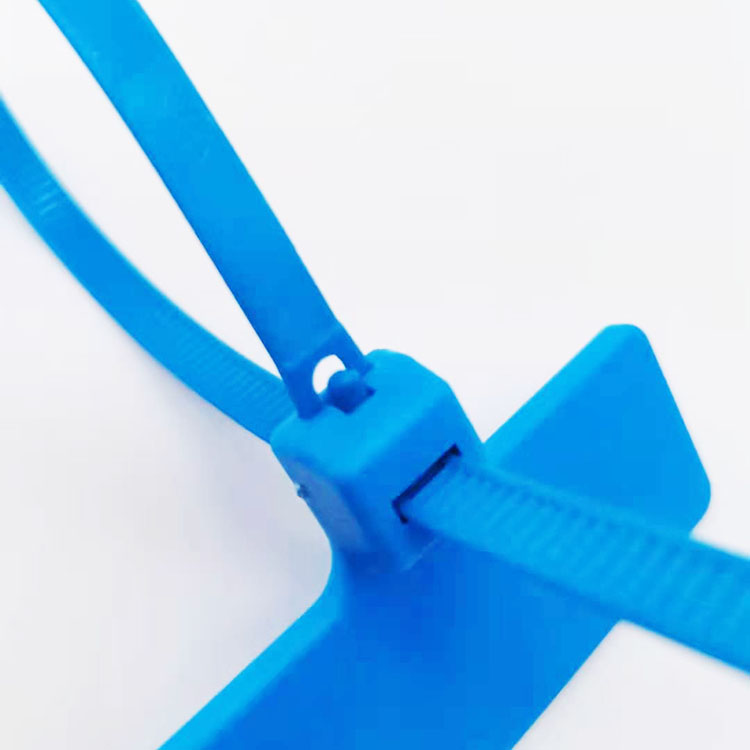 Detalhe da etiqueta RFID Z28575-1 com a fita azul passando pela ranhura de travamento ao lado da placa.