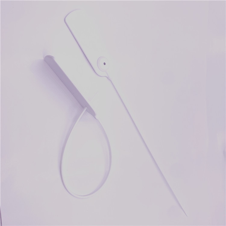 Vista ampla da etiqueta RFID tipo abraçadeira Z33026-1 com uma estaca pontiaguda alongada e o corpo em laço sobre fundo claro.